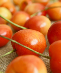 Cherry.