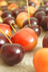 Cherry.