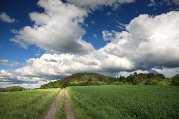 rural lansdscape