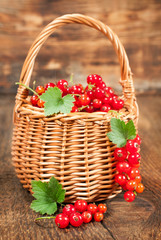 Fototapeta na wymiar ripe red currants in a wicker basket