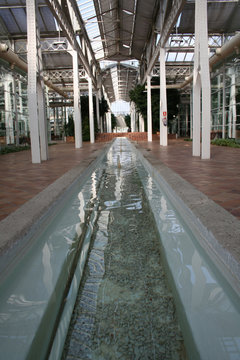 Acequia