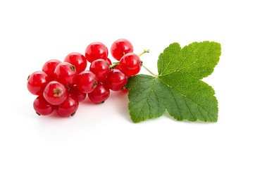 Rote Johannesbeeren mit Blatt