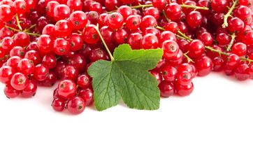 Rote Johannesbeeren mit Blatt