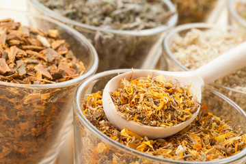 healing herbs in glass cups and wooden spoon, herbal medicine