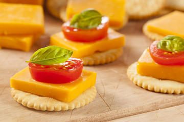 Chedder Cheese and Cracker Appetizer
