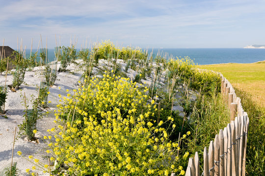 concrete blindage of Atlantic Wall, France