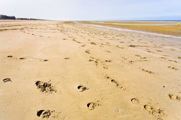 empty sand beach of english channel