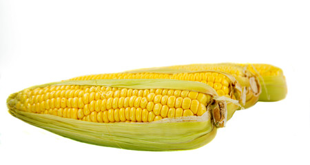 A group of corn over white background © akulamatiau
