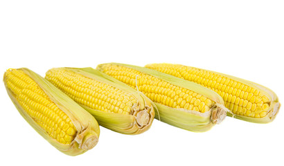 A group of corn over white background © akulamatiau