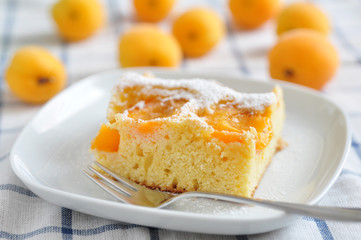 Marillenkuchen, Aprikosenkuchen