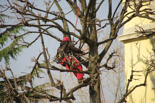 &eacute;lagueur