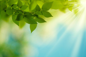 Beauty Summer Day. Abstract environmental backgrounds for your d