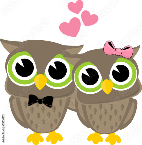 owl couple clipart - photo #35