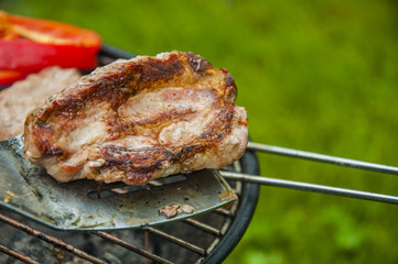 Hot grilled food in garden