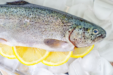 raw trout