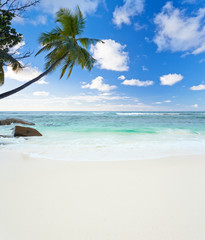plage tropicale des Seychelles
