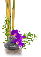 Fototapeta na wymiar Asian skład, orchidea, bambus i kamyki