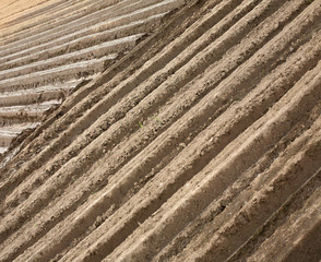 Plowed field in spring time