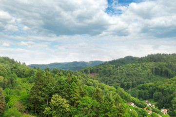 mountains covered with forests