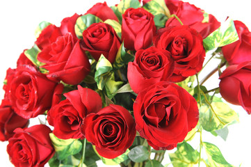 Beautiful roses