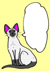 シャムネコのメッセージカード