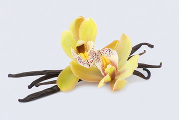 vanilla and flowers