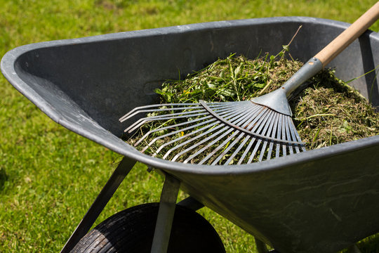 Schubkarre mit Rechen und Gartenabfall