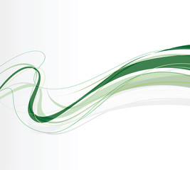 abstract green swirling lines - 53225786