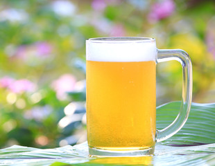 glasses of beer with nature Background