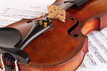 Naklejka premium Violine / Geige