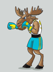 Elk - boxer
