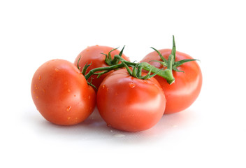 branch of tomatoes
