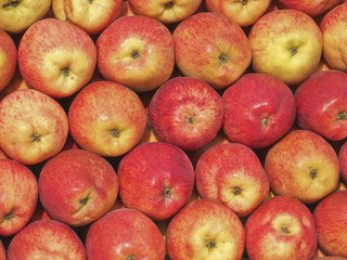 pile of apples