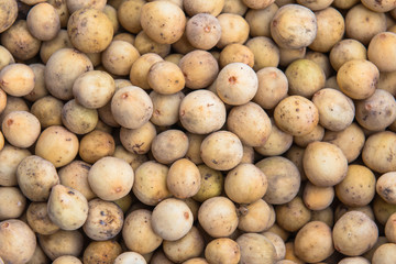 Wollongong background