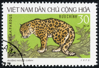 stamp printed in North Vietnam shows the leopard