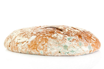 moldy bread isolated on white background