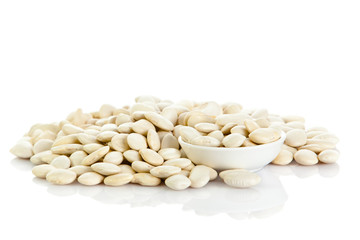  bean seeds isolated on white background