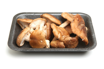 Shiitake Mushrooms Pack