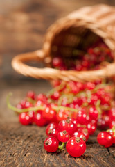 ripe red currants close-up