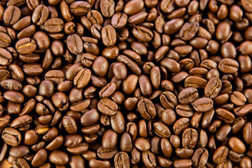beans of  coffee
