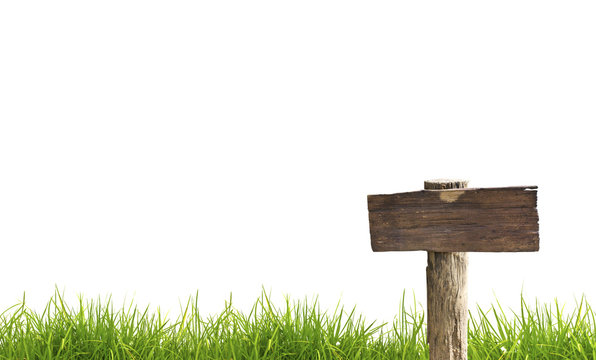 Wood Sign With Grass Isolated On A White Background.