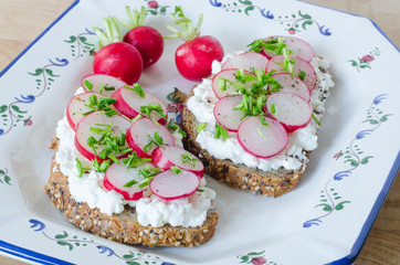Whole bread with cottage cheese and radish