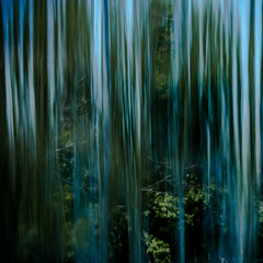 Heavy rain in the evening