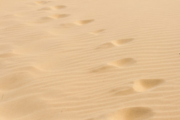 Fototapeta na wymiar Steps in the dry hot sand.