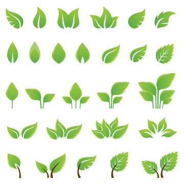 Collection set of green leaves design elements