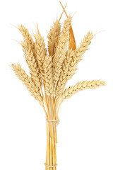 wheat bundle