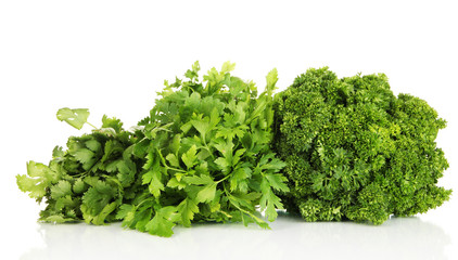 Useful herbs isolated on white