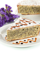 Delicious poppy seed cake isolated on white