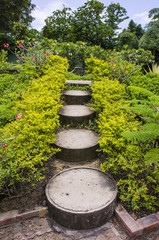 step walk way in the topical garden