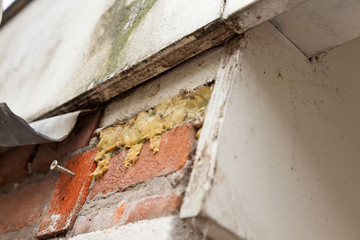 Obraz na płótnie Canvas Close-up of brick wall of house which needs maintenance.